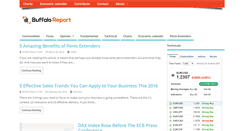 Desktop Screenshot of buffaloreport.com